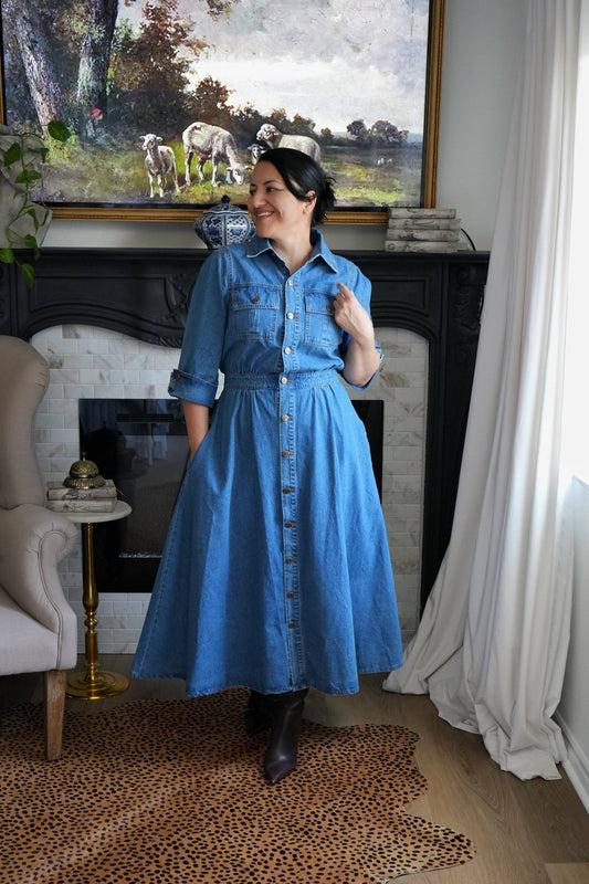 Andromeda Denim Dress
