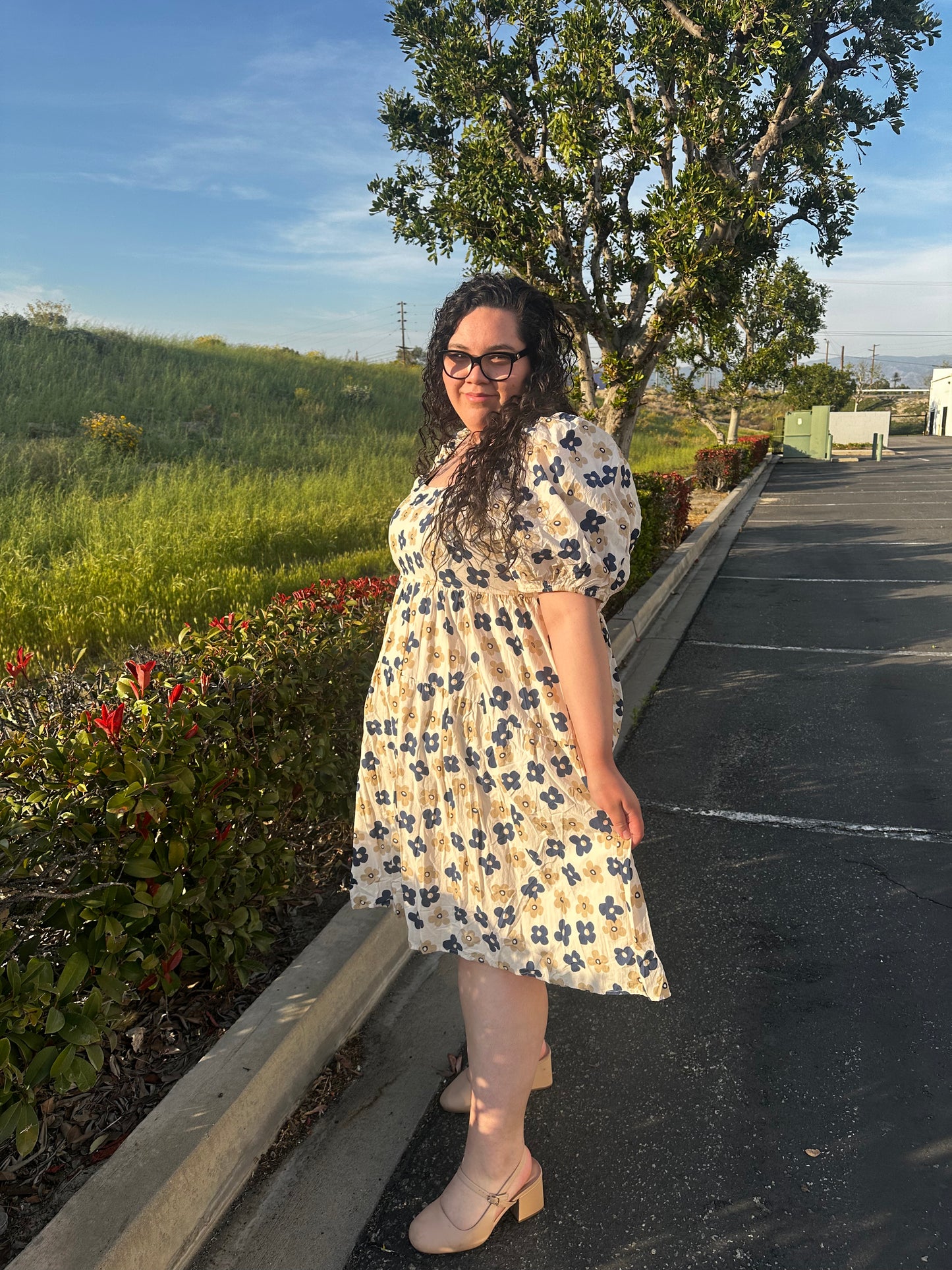 The "Blueberry Bloom" Dress