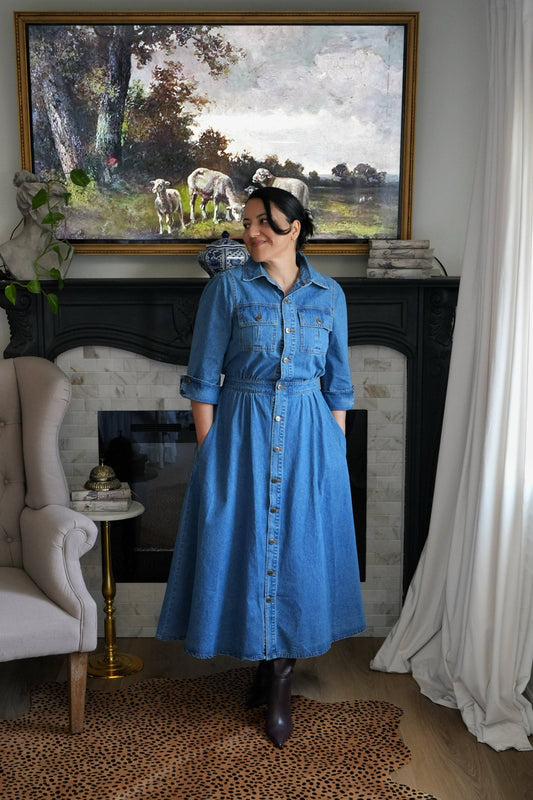 Andromeda Denim Dress